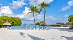 Fish, Dive, Snorkel & Unwind-Coral Reefs, Pool, Pickleball & Onsite Bar