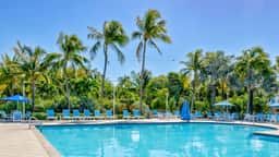 Fish, Dive, Snorkel & Unwind-Coral Reefs, Pool, Pickleball & Onsite Bar