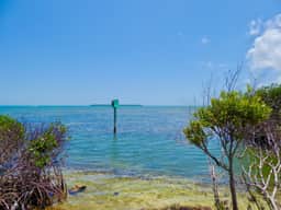 Sunshine and Sandbars Waterfront Condo