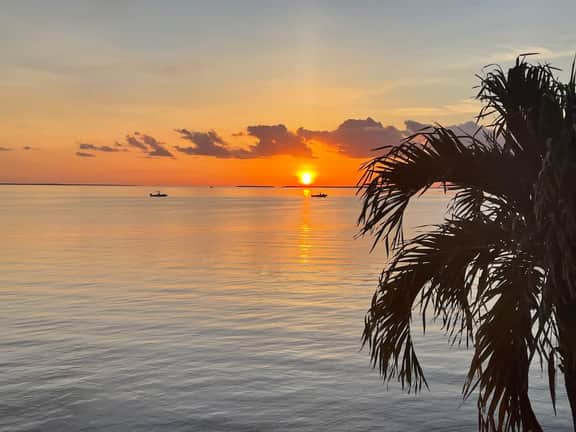 Fish, Dive, Snorkel & Unwind-Coral Reefs, Pool, Pickleball & Onsite Bar