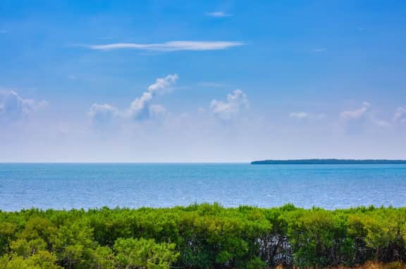 Bright & Sunny Suite w/ Magnificent Ocean Views
