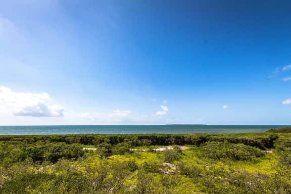 Sunshine and Sandbars Waterfront Condo - Image 5