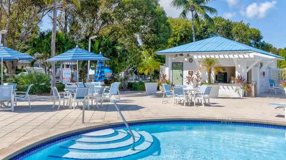 Snorkel & Dive Legendary Coral Reefs - Then Relax Poolside with a Drink!
