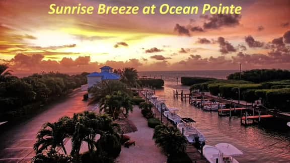 Sunrise Breeze on the Marina [Ocean Pointe 5302]