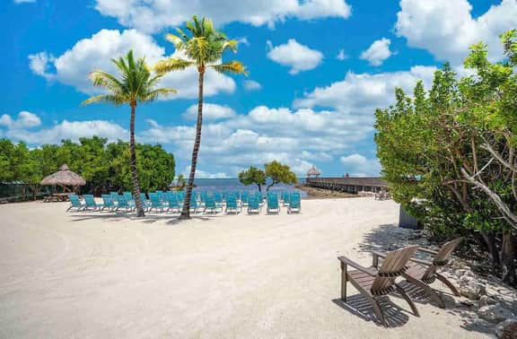 Lush Views from Cozy Top Floor - Ocean Pointe 1415