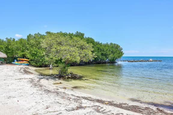 Charming Condo in Picturesque Tavernier - OP 2215 - Image 3