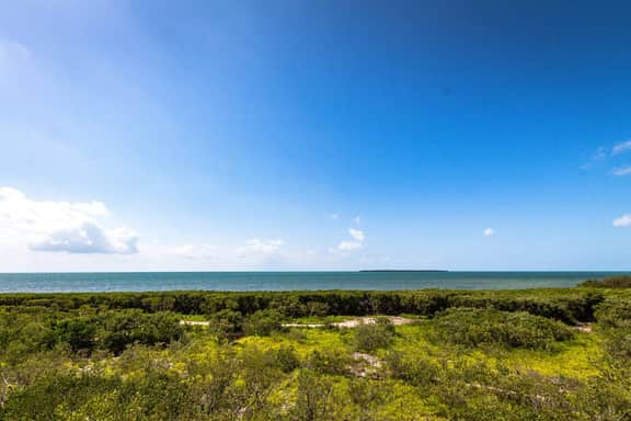 Sunshine and Sandbars Waterfront Condo - Image 3